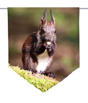 Da guckt er, Scheibenhänger spitz
